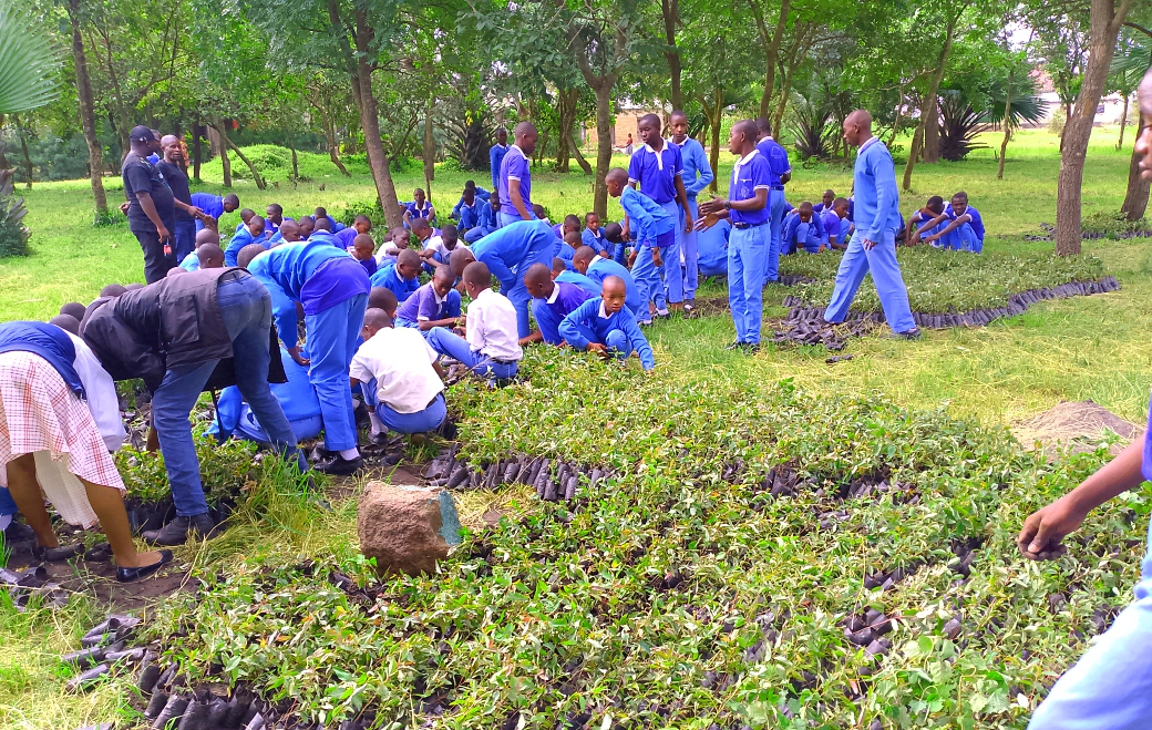 Forest Restoration Leader